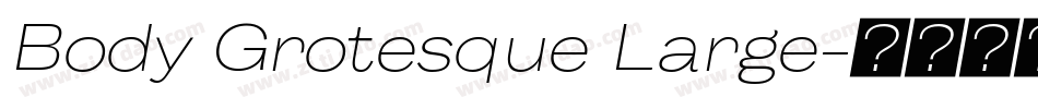 Body Grotesque Large字体转换